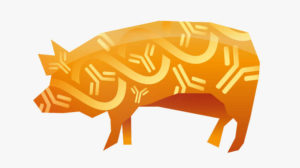 Swine - BioChek productoverview