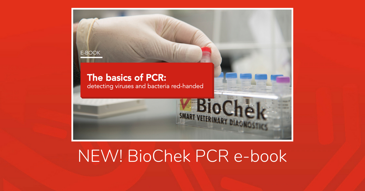 Download our PCR e-book!