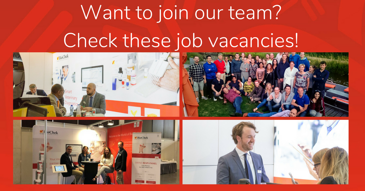 Join our team! We have three job vacancies